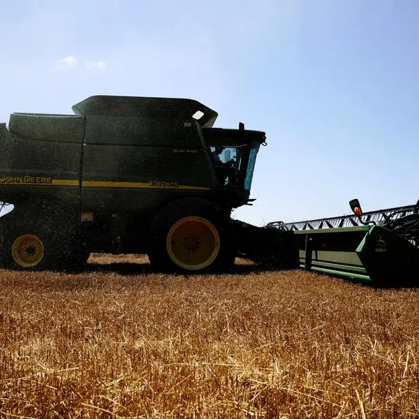 Wheat futures trade sideways as traders eye Russia-Ukraine talks