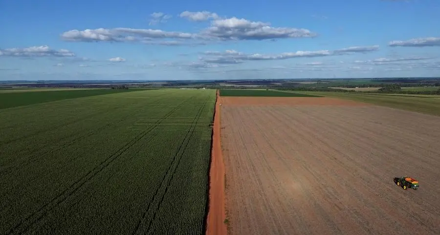 Soybeans fall on conflicting US, China remarks on trade talks; corn, wheat down