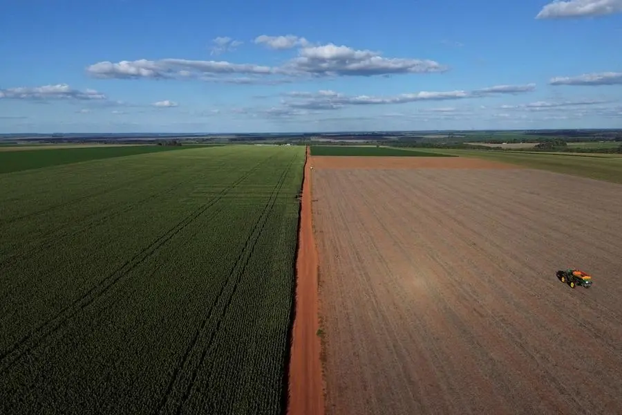FILE PHOTO: A drone view shows a tractor in a soybean field, in Colonia Bergthal, Paraguay April 10, 2025. REUTERS/Cesar Olmedo. , Reuters
