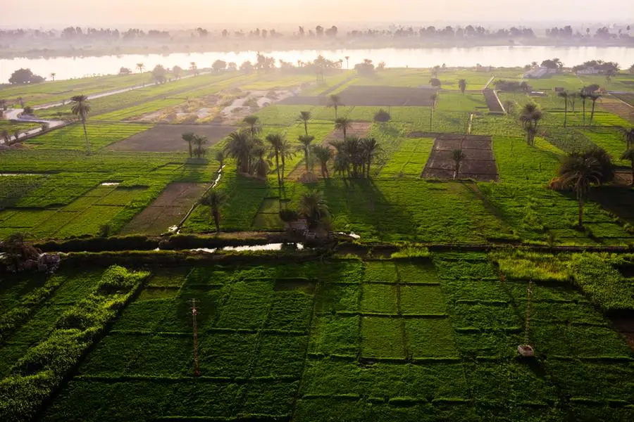 Minya, Egypt - November 3rd, 2011 : Sunset view of agricultural landscape at the banks of the Nile at the outskirts of Minya. Image used for illustrative purpose. Getty Images , Getty Images