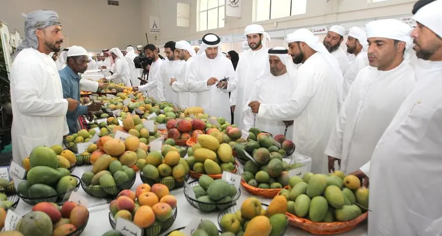 Khorfakkan Mango Festival 2026 opens tomorrow at Expo Khorfakkan with strong participation from farmers