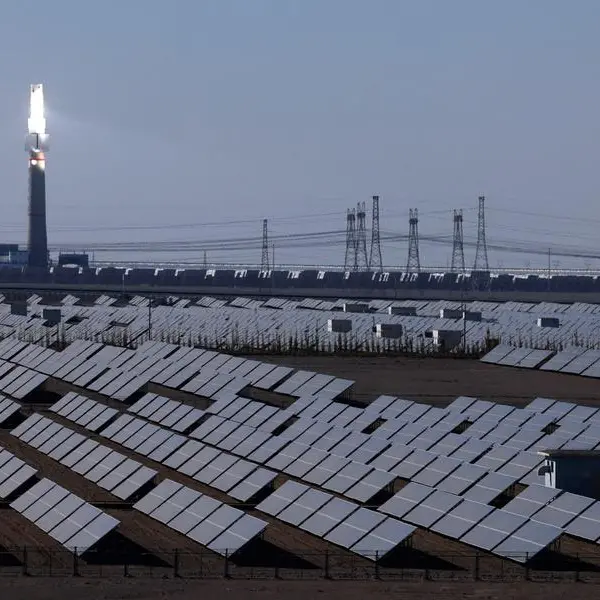 China cuts electricity emissions to record lows in 2025: Maguire