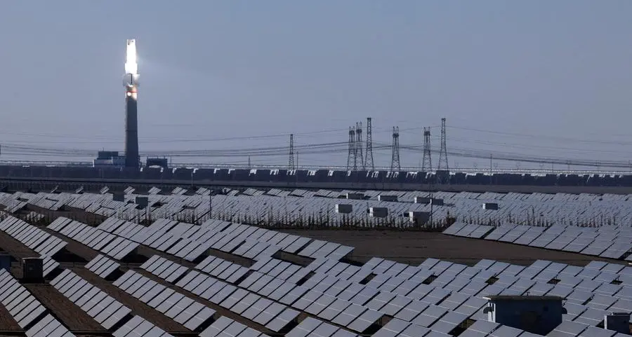 China cuts electricity emissions to record lows in 2025: Maguire