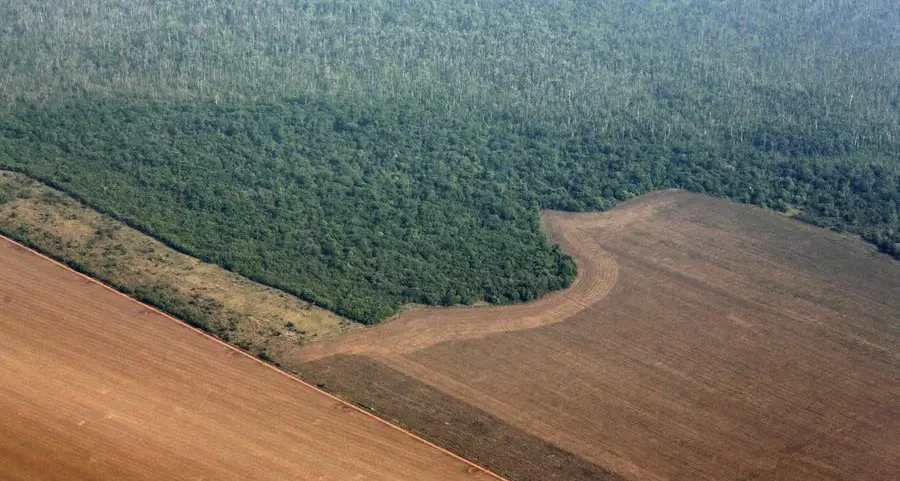 Soybeans ease after rally, market awaits Chinese purchases