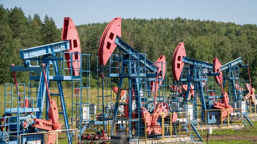 Oil price steady as market mulls potential supply risks