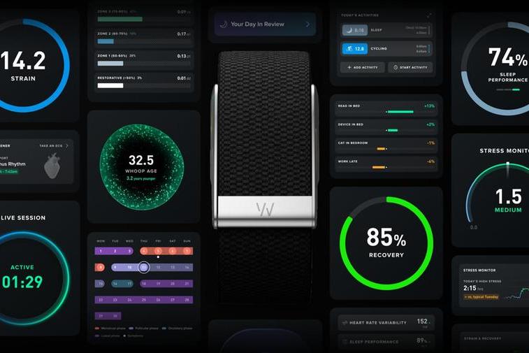2PointZero Group invests in WHOOP Series G financing