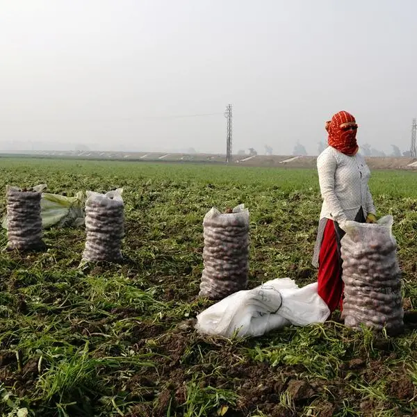 India budget opts for economic sugar rush over reform