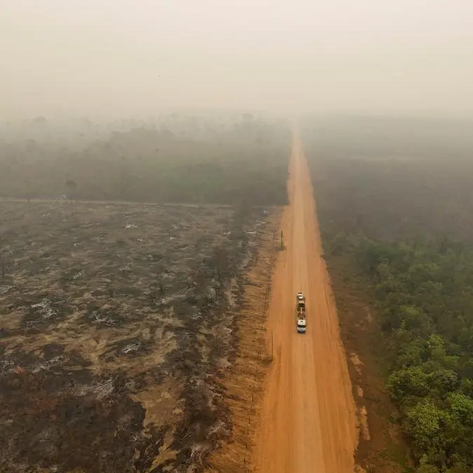Climate-related losses reached $320bln in 2024, FII report says