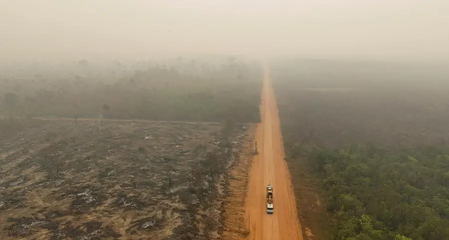 Climate-related losses reached $320bln in 2024, FII report says