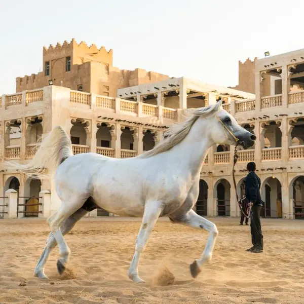 Qatar to award equestrian facilities contract in Q4