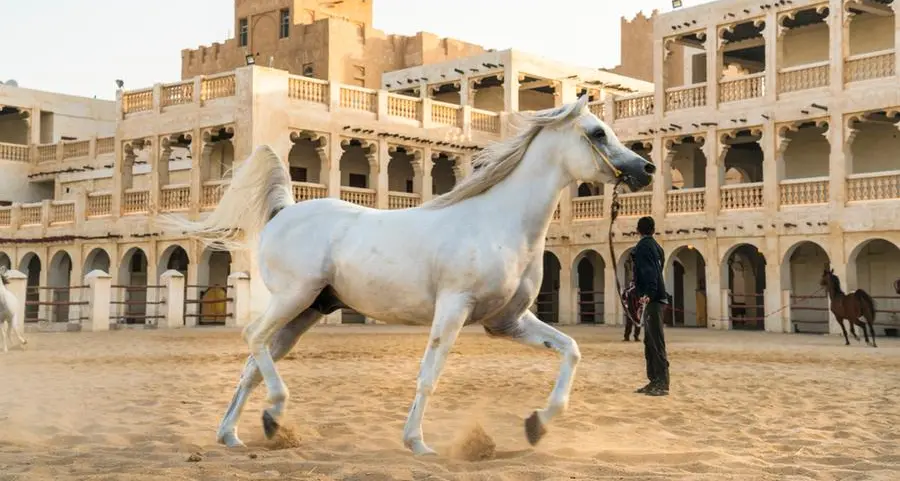 Qatar to award equestrian facilities contract in Q4