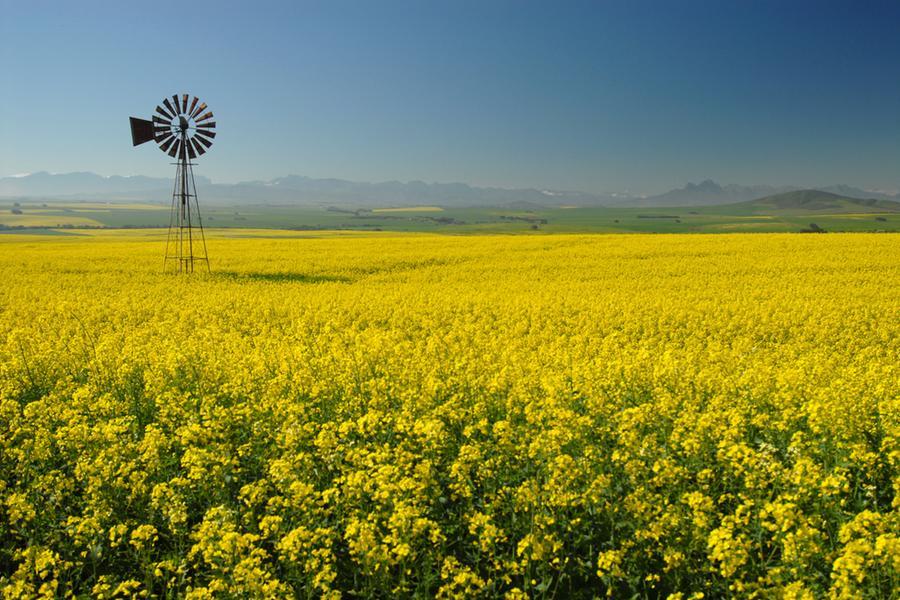 Positioning the Western Cape in a shifting global economy