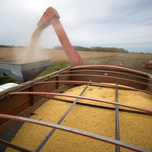Wheat and corn higher, soybeans stuck near 3-week low