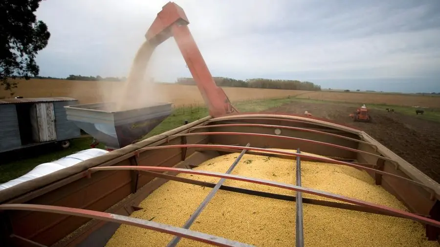 Wheat and corn higher, soybeans stuck near 3-week low