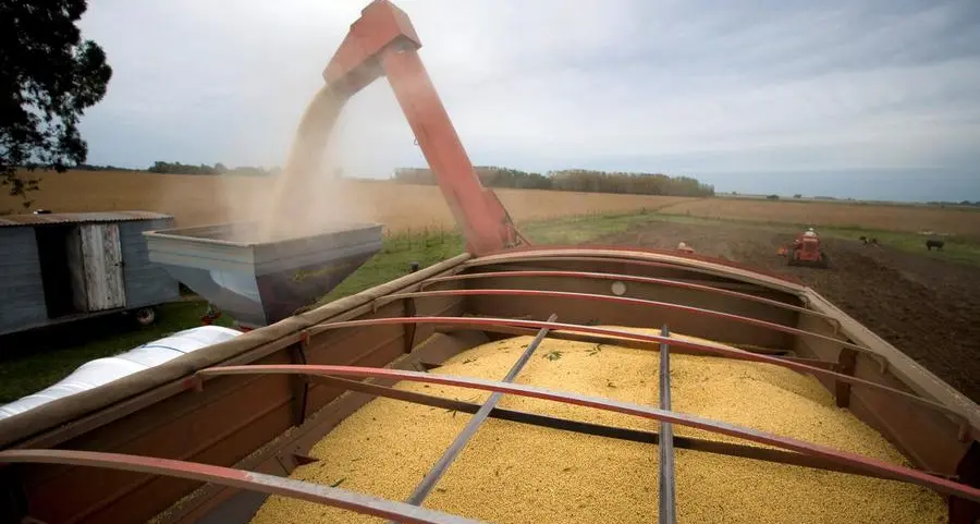 Wheat and corn higher, soybeans stuck near 3-week low
