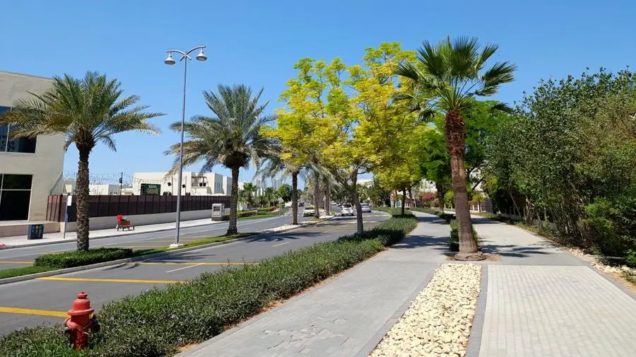 VIDEO: Dubai Residential REIT acquires Jebel Ali Village townhouses for $243mln