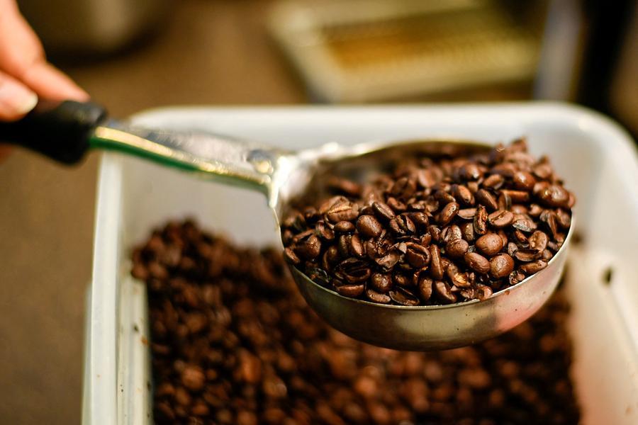 UAE: Specialty coffee lots top $70,000 in value at Dubai Coffee Auction