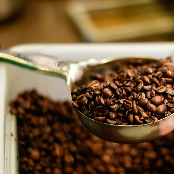 UAE: Specialty coffee lots top $70,000 in value at Dubai Coffee Auction
