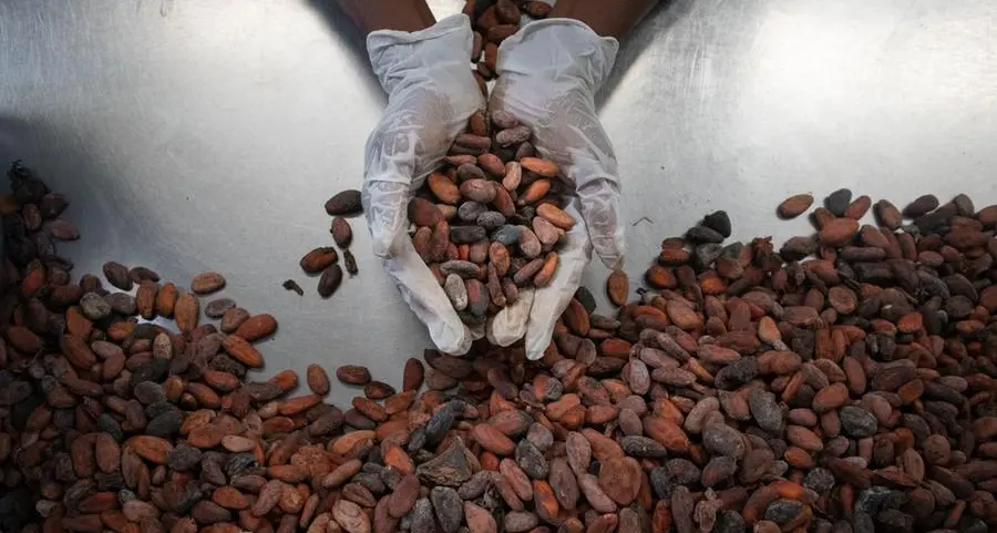 Ivory Coast cocoa grind plunges 31% in July on poor bean quality