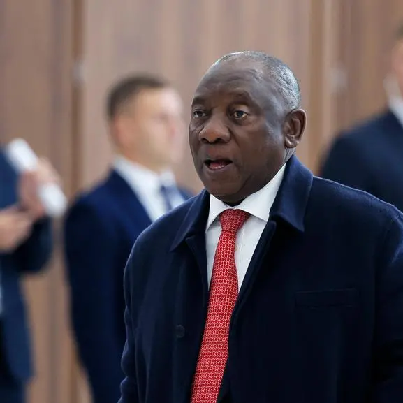 S.Africa's G20 presidency will promote Africa: president