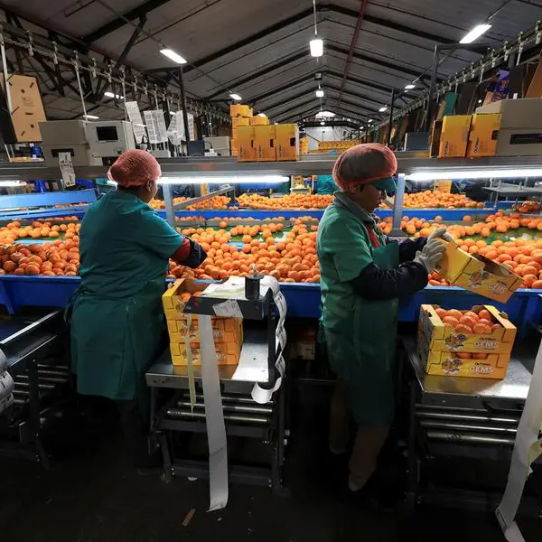 US tariffs on South Africa set to hit white farmers Trump has embraced