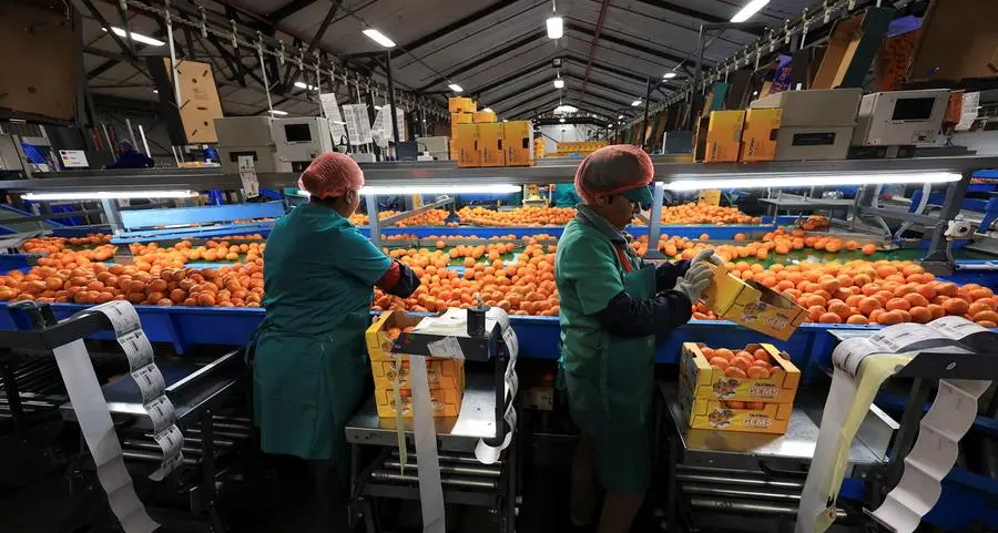 US tariffs on South Africa set to hit white farmers Trump has embraced