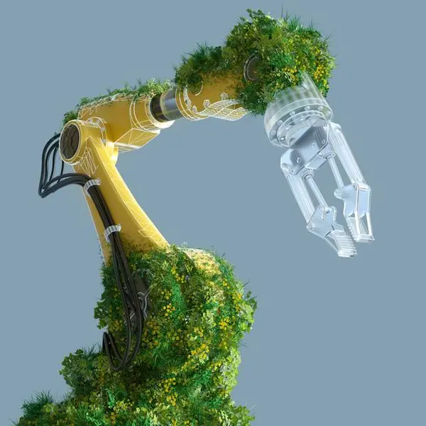 Al Duqm shaping up as Oman's green manufacturing hub