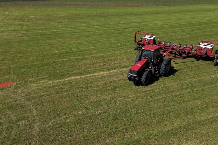 Chicago soy, wheat, corn rise on oil rally, Iran war