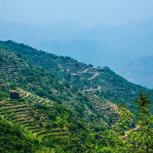 Saudi: Al-Baha advances development with over $327mln in projects, expanding investment, agriculture and tourism