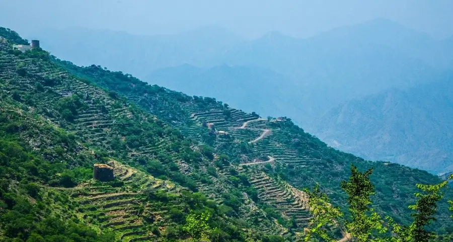 Saudi: Al-Baha advances development with over $327mln in projects, expanding investment, agriculture and tourism