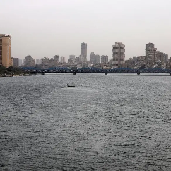 Egypt plans to list more state-owned companies, replace in-kind subsidies with cash, PM says