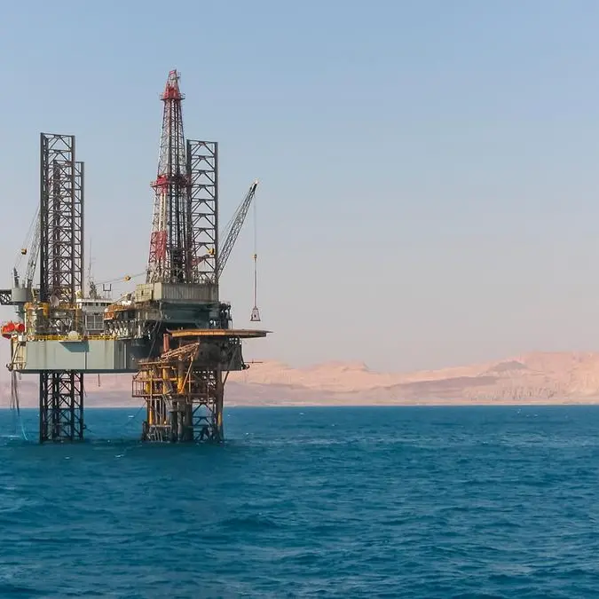 Egypt: Badawi explores joint natural gas projects with Qatar