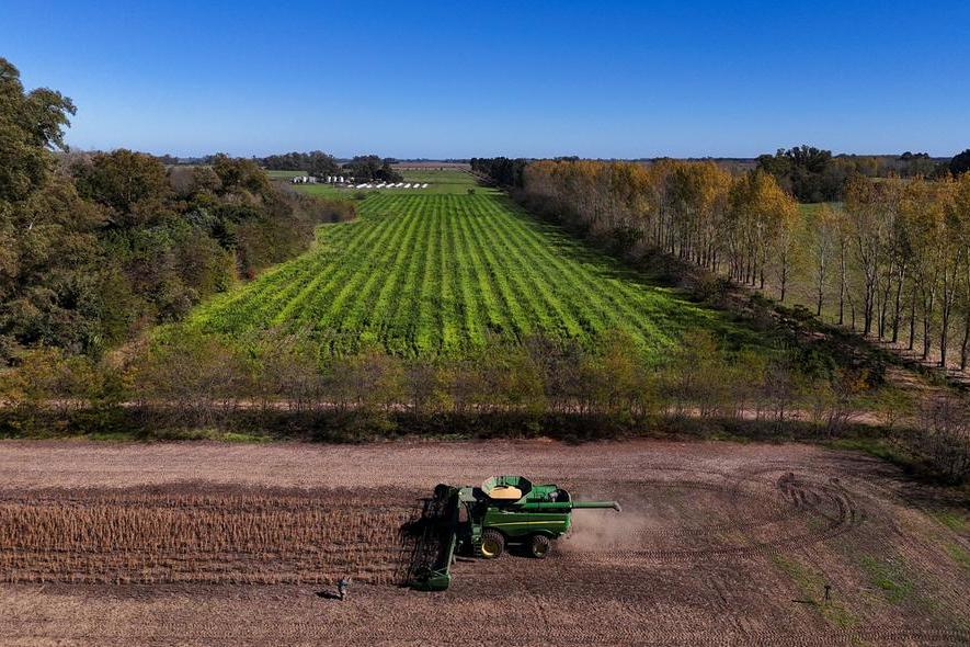 Chicago soybeans set for weekly loss on ample supply, weak China demand