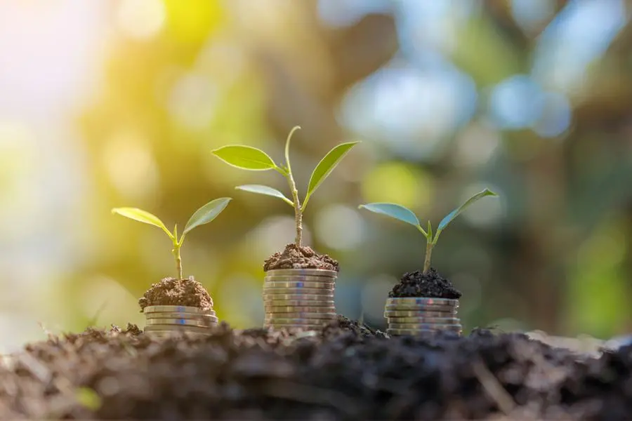 Money coins stack grow up to saving money. Image used for illustrative purpose. Getty Images , Getty Images