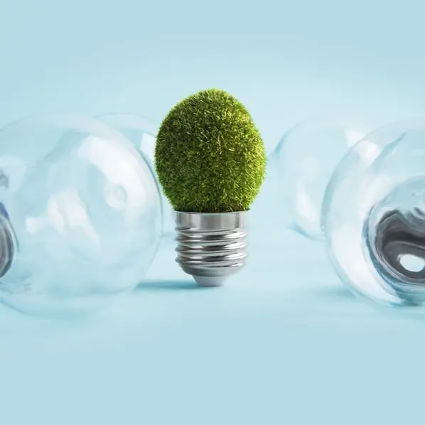 The sustainability edge: Beyond Earth Day, why going green is good for business?