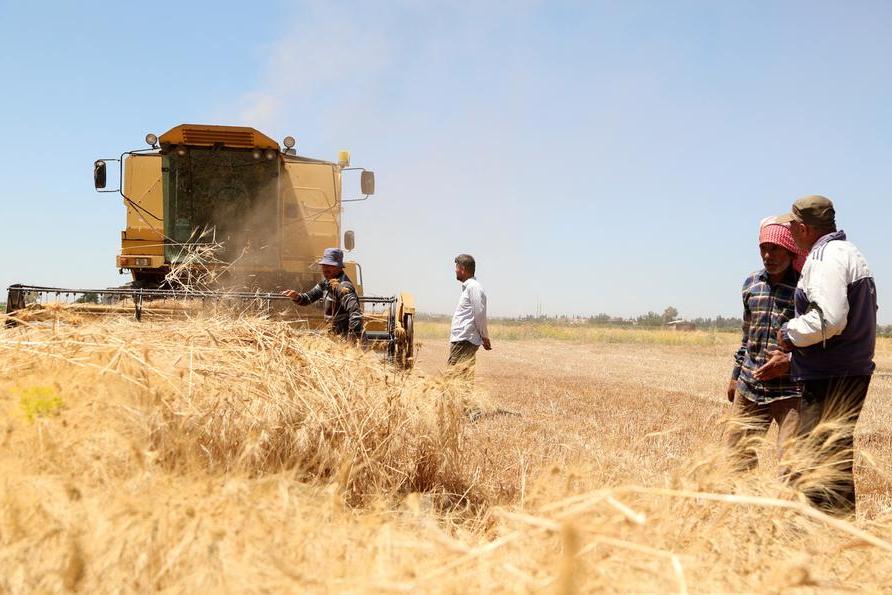 Syria's wheat harvest expected to more than double this year