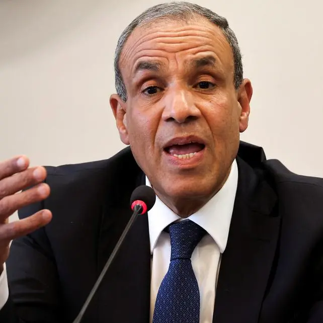 Egypt close to issuing $500mln Japan Samurai bond, foreign minister says