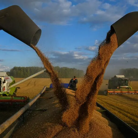 Wheat falls to 10-week low on US dollar hitting 6-month high