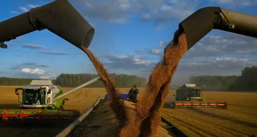 Wheat falls to 10-week low on US dollar hitting 6-month high