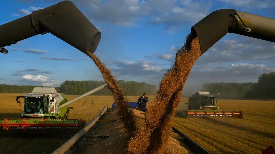 Corn hits nine-month low, wheat and soy fall on US-Iran peace deal