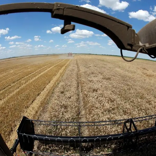Wheat rises to one-month high, corn and soybeans also extend gains