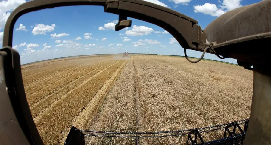 Wheat rises to one-month high, corn and soybeans also extend gains
