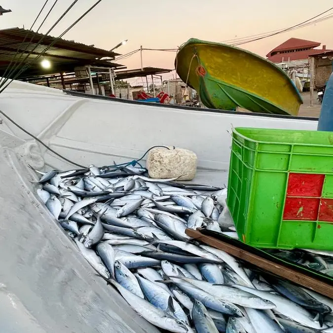 Saudi Aramco launches Regional Fisheries Development Center in Jubail