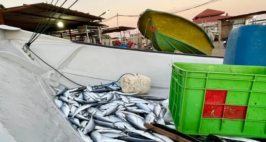 Saudi Aramco launches Regional Fisheries Development Center in Jubail