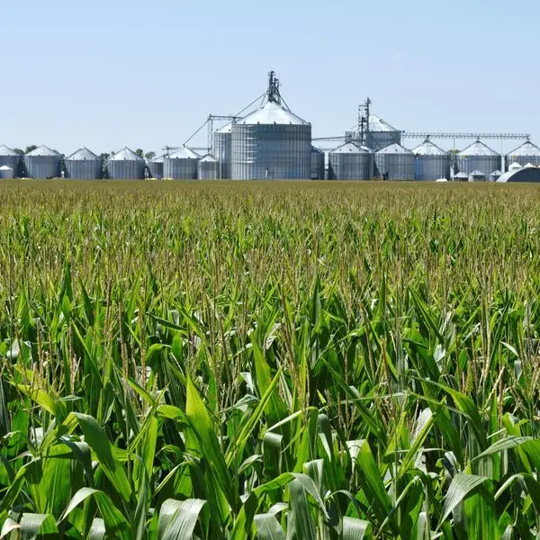 Five charts that defined agricultural markets in 2025: Karen Braun