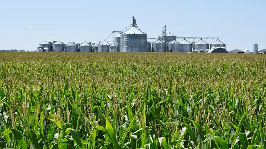 Five charts that defined agricultural markets in 2025: Karen Braun