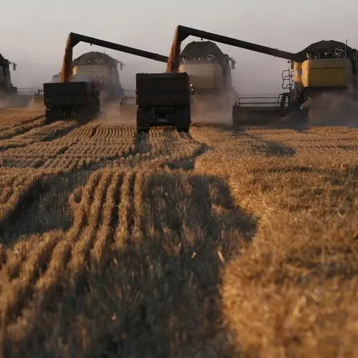 Wheat climbs on prospects of weak Russian supply