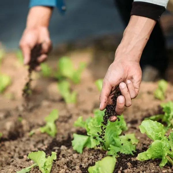 Business Feature: From traditional agriculture to smart agri-cities