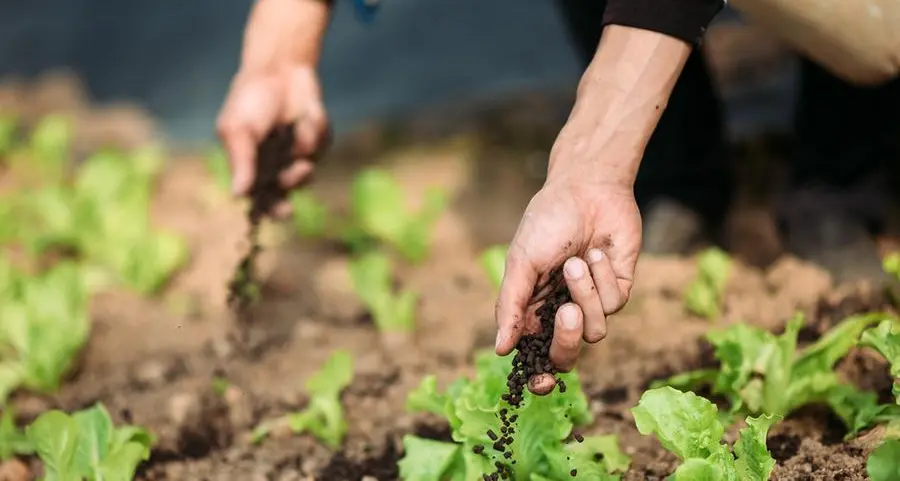 Business Feature: From traditional agriculture to smart agri-cities