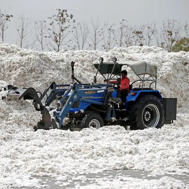 India eyes record cotton buying as imports, US tariffs dampen prices